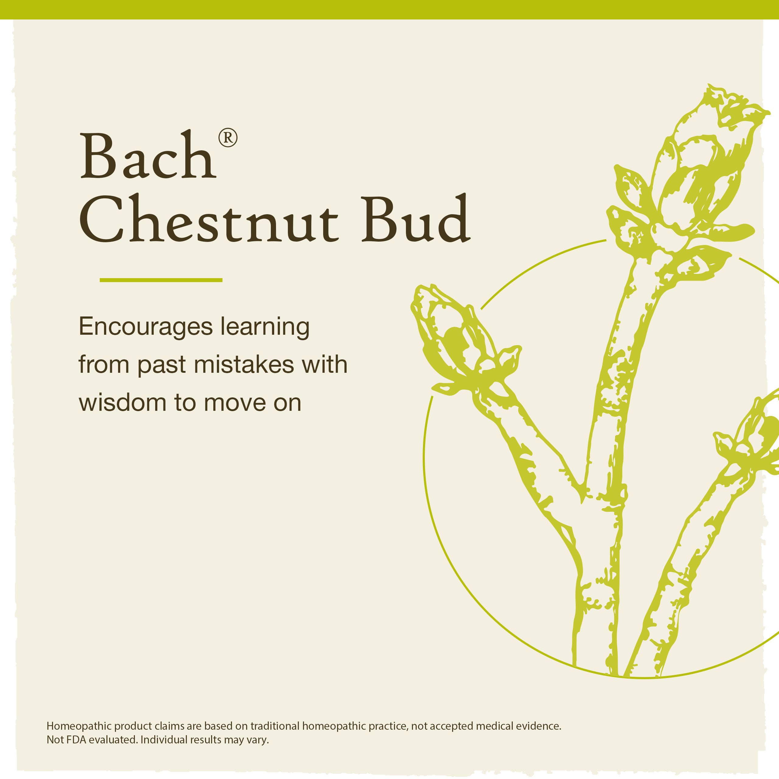 Bach Flower Remedies Chestnut Bud Oral Supplement