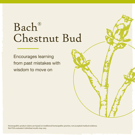 Bach Flower Remedies Chestnut Bud Oral Supplement