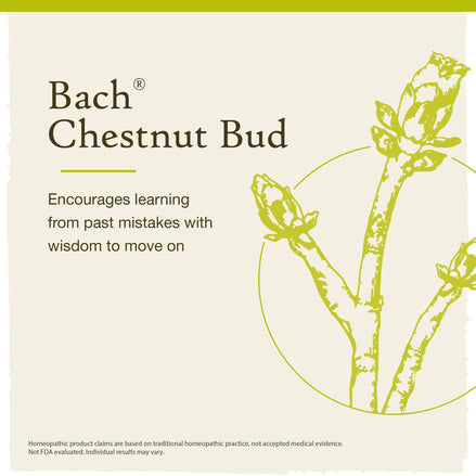 Bach Flower Remedies Chestnut Bud Oral Supplement