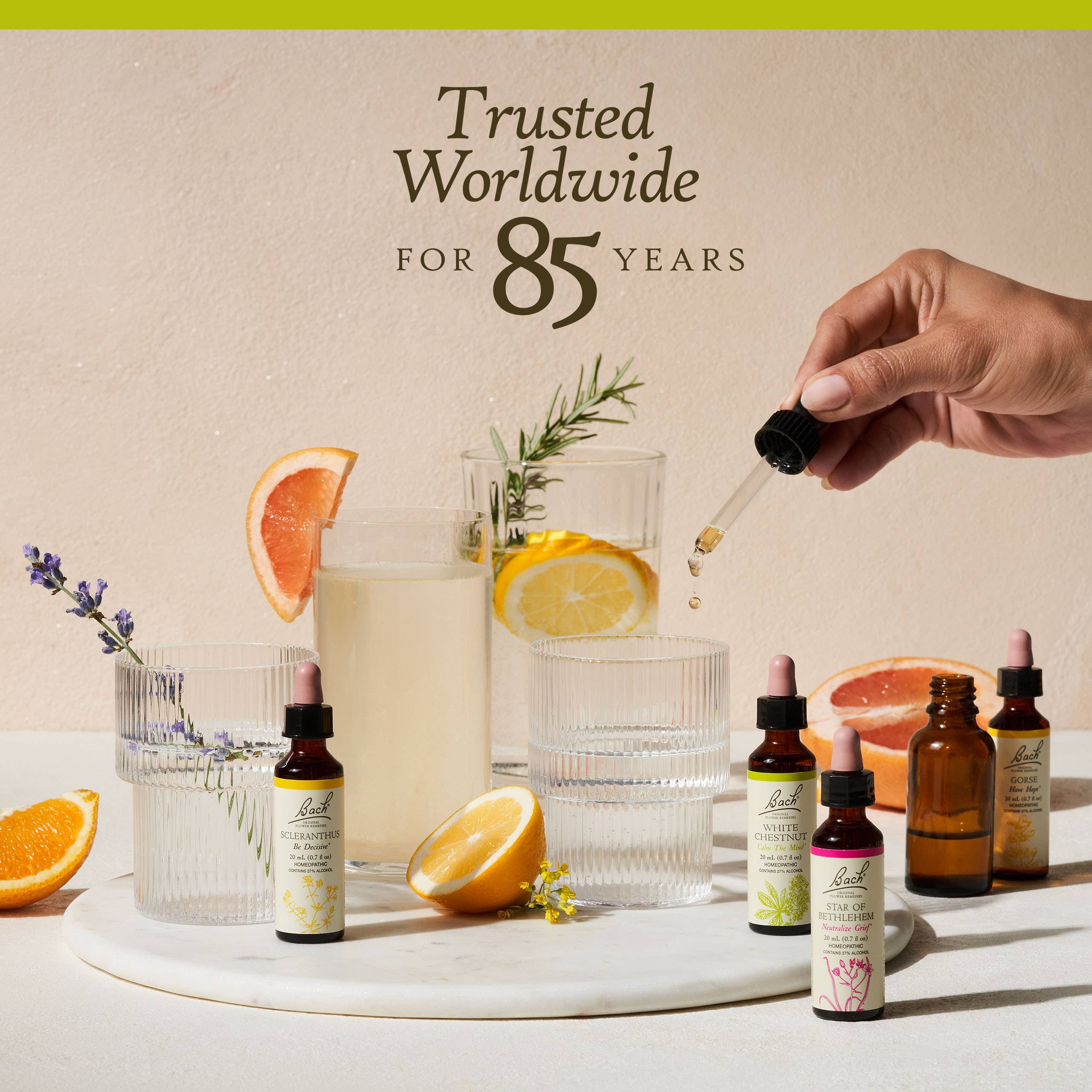 Bach Flower Remedies Chestnut Bud Oral Supplement